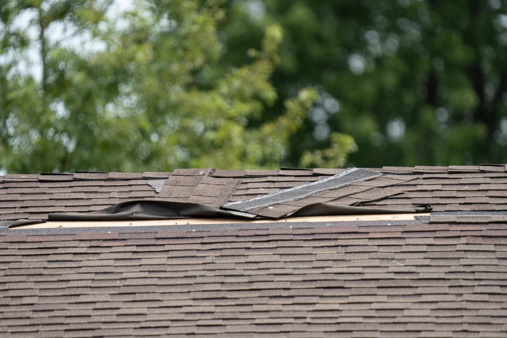 close-up of blown off shingles after wind