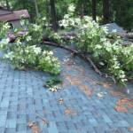 storm blows tree onto roof and damages shingles