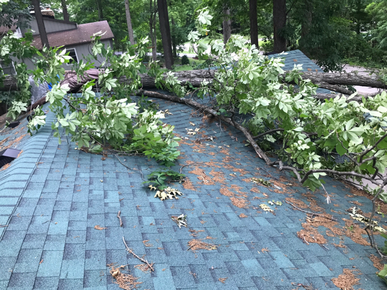 storm blows tree onto roof and damages shingles