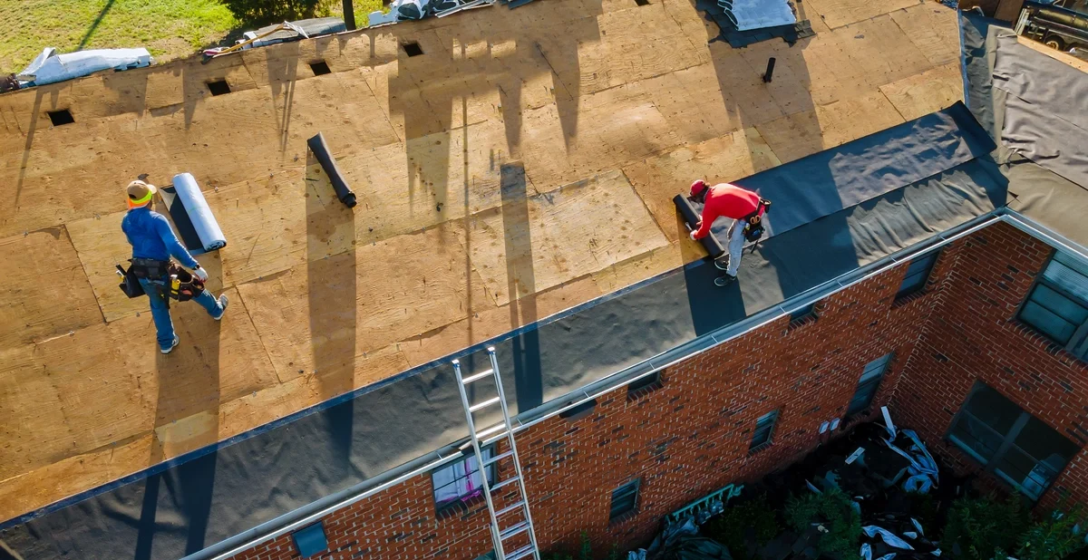 roof deck revealed after shingle removal